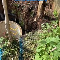 Mt Albert, Public Drainage