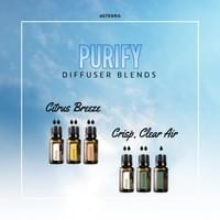 Purify Diffuser Blends