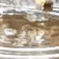 wind on water