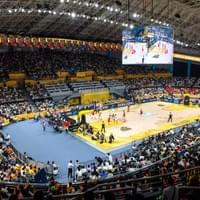 ZHEJIANG LIONS