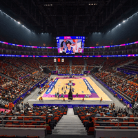 CHENGDU PHOENIX SPORTS CENTER