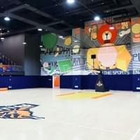 ALIBABA SPORTS