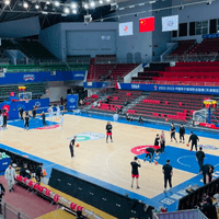 TIANJIN PIONEERS