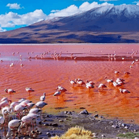 Lake Natron