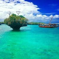 Safari Blue trip