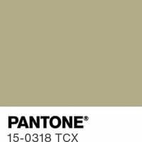 The most popular color predicted for 2026