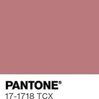 The most popular color predicted for 2026