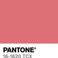 The most popular color predicted for 2026