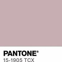 The most popular color predicted for 2026