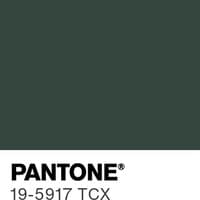 The most popular color predicted for 2026