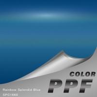 SCAF-SPC1660