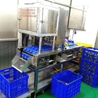 自動青棗去籽機