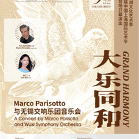 Zhonghu concerto Bingyu
