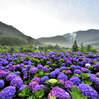 Yangmingshan National Park