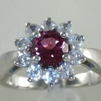Ref : 7079