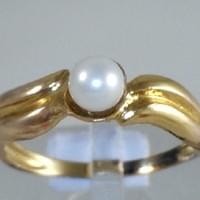 Ref : 4875