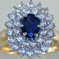 Ref : 6295