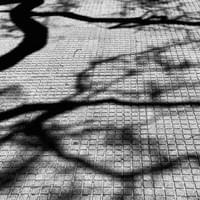 broken image