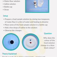 Starch test