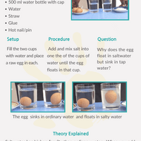 Egg float
