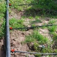 Community farms