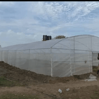 Community green house