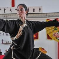 Il Ventaglio Taiji