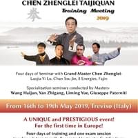 Chen Zhenglei in Italia! 2019.