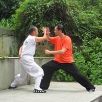 Allenamenti sul Monte Wudang (Cina)
