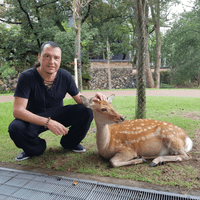 Nara, Giappone, 2016