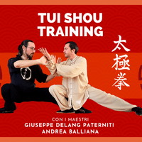 Tui Shou Training