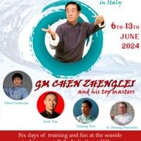 Taijiquan Summer Camp 2024