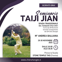 Seminario di Spada Taiji
