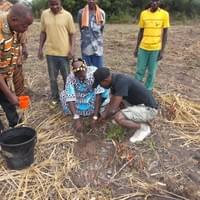 Ouverture de la campagne de reboisement à Kpomé-tokpanou 2015(TOGO) Août 2017