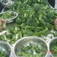 IQF Broccoli Sorting Line