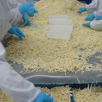 Frozen Bamboo Shoot Factory