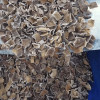 Frozen Black Fungus Factory