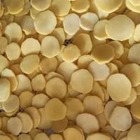 IQF Frozen Potato Factory