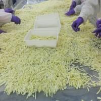 Frozen Bamboo Shoot Processing