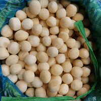 Bulk IQF Frozen Potato