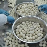 IQF Frozen Taro Production