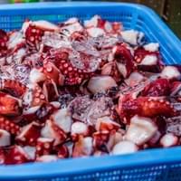 frozen boiled octopus supplier