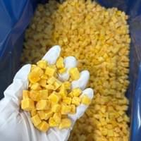 IQF Diced Mango Inspection