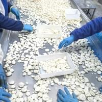 IQF frozen water chestnuts