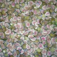 IQF Frozen Fig Supplier