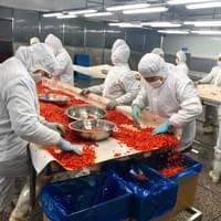 IQF Frozen Red Sweet Peppers