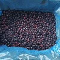 Bulk IQF Frozen Blackcurrants