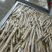 Frozen Burdock Root Factory