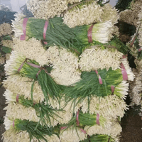 IQF Frozen Scallion Supplier