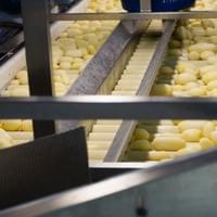 Frozen Potato Processing Plant
